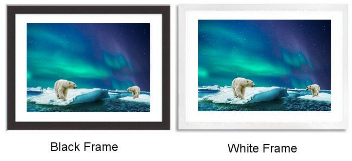 Polar Bears Aurora Framed Print